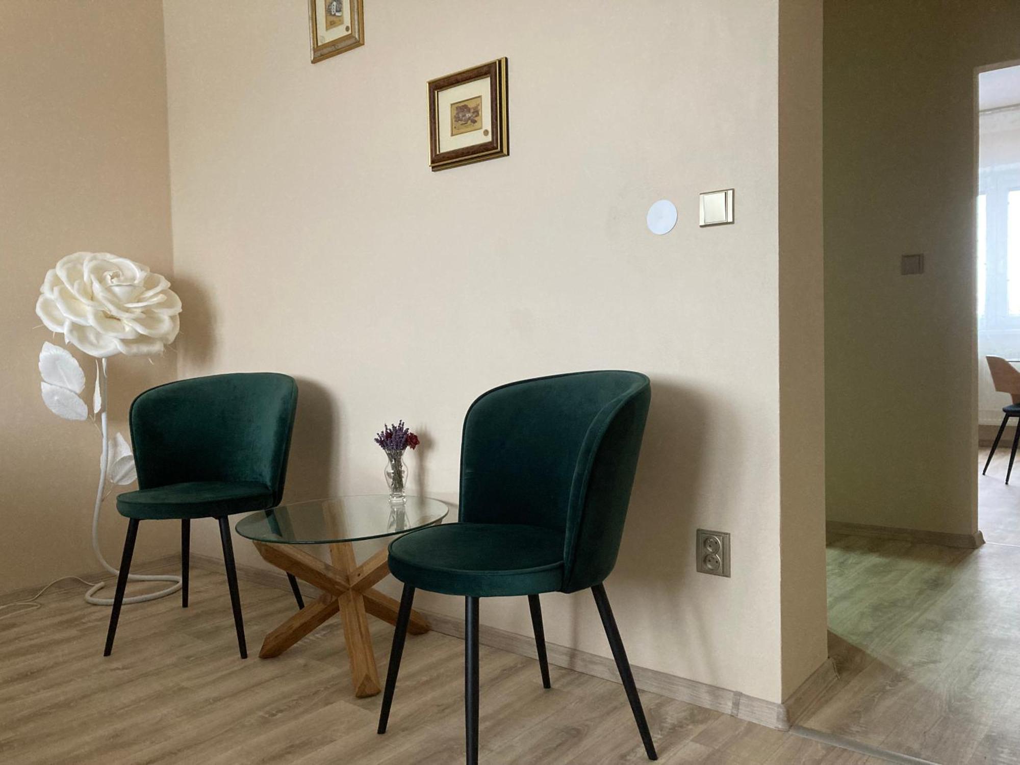 Apartment In The Garden Drzovice 외부 사진